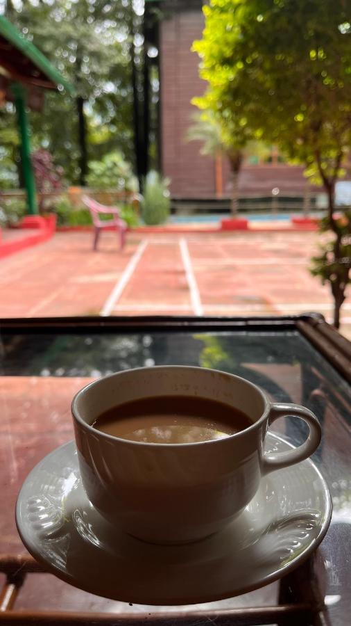 Hilltop Manor Homestay
