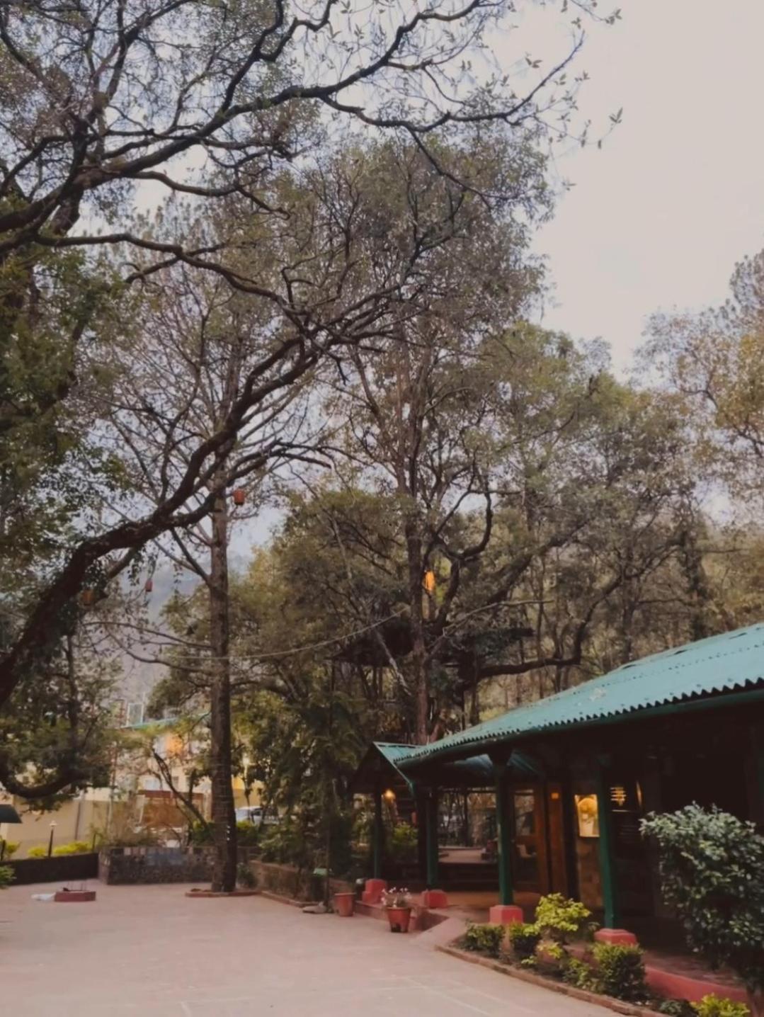 Hilltop Manor Homestay *